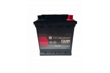 202 Diamond Fiamm Battery