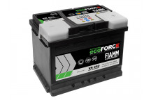 027 AGM Ecoforce Fiamm Battery