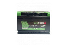 110 Ecoforce AFB Fiamm Battery