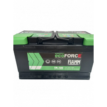 110 Fiamm Ecoforce AFB Battery