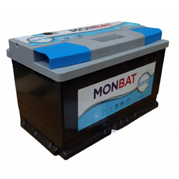 110 EFB Battery