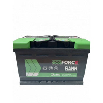 100 Fiamm Ecoforce AFB Battery