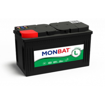 Leisure Battery