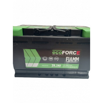 110 Ecoforce AFB Fiamm Battery